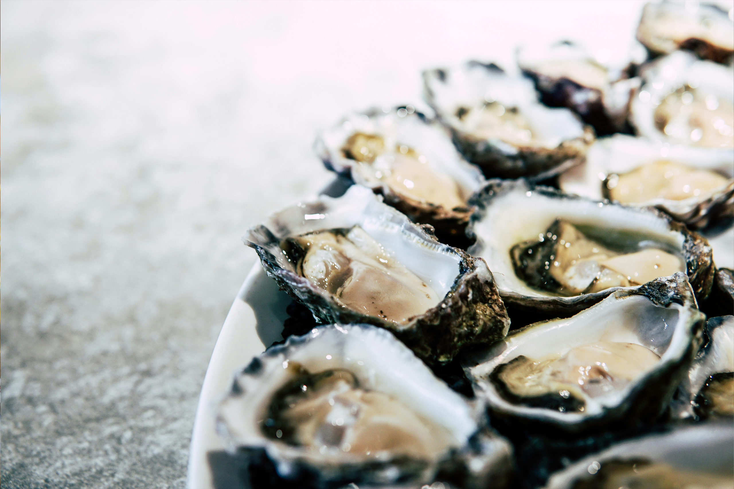 San Francisco Happy Hour Oysters at Scopo Divino